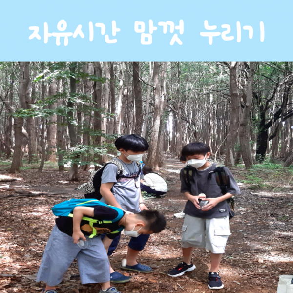 f3f1a27a98ff6c04dad974138299ed5b_1595987668_7705.png