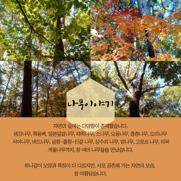 83685fe619adc423990f532dd0ca7da8_1603773886_0484.png