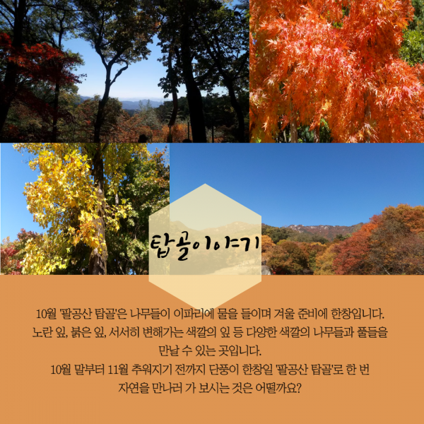 83685fe619adc423990f532dd0ca7da8_1603773905_4271.png