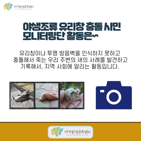 756bd13847aed8afc80851ce5be097c4_1609810156_0699.png